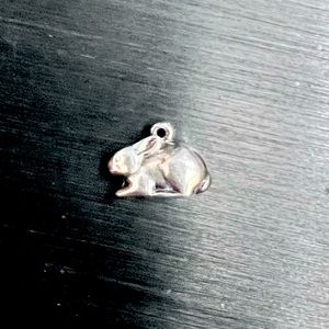 Cottontail Rabbit Charm